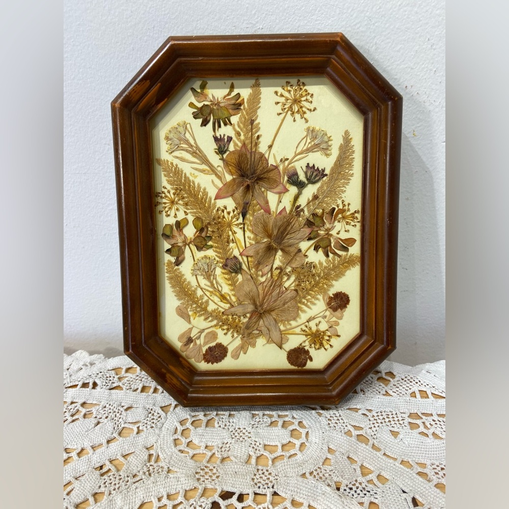 Vintage Framed Dried Flowers Art Under Glass